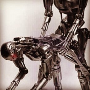 1516610_234606910053647_145789015_n (Instagram Download)